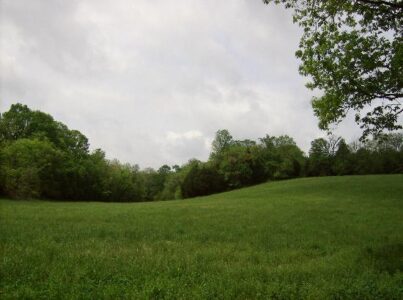 Girl Out of Water: The Start of It All Image